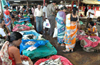 Fish prices could get better in a week or ten days